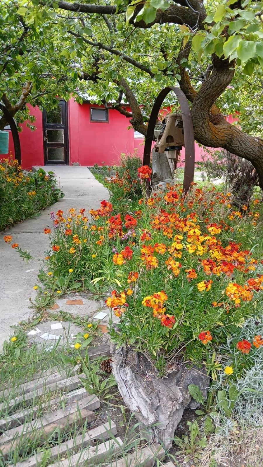 אל קלפטה Calafate Viejo Hostel מראה חיצוני תמונה