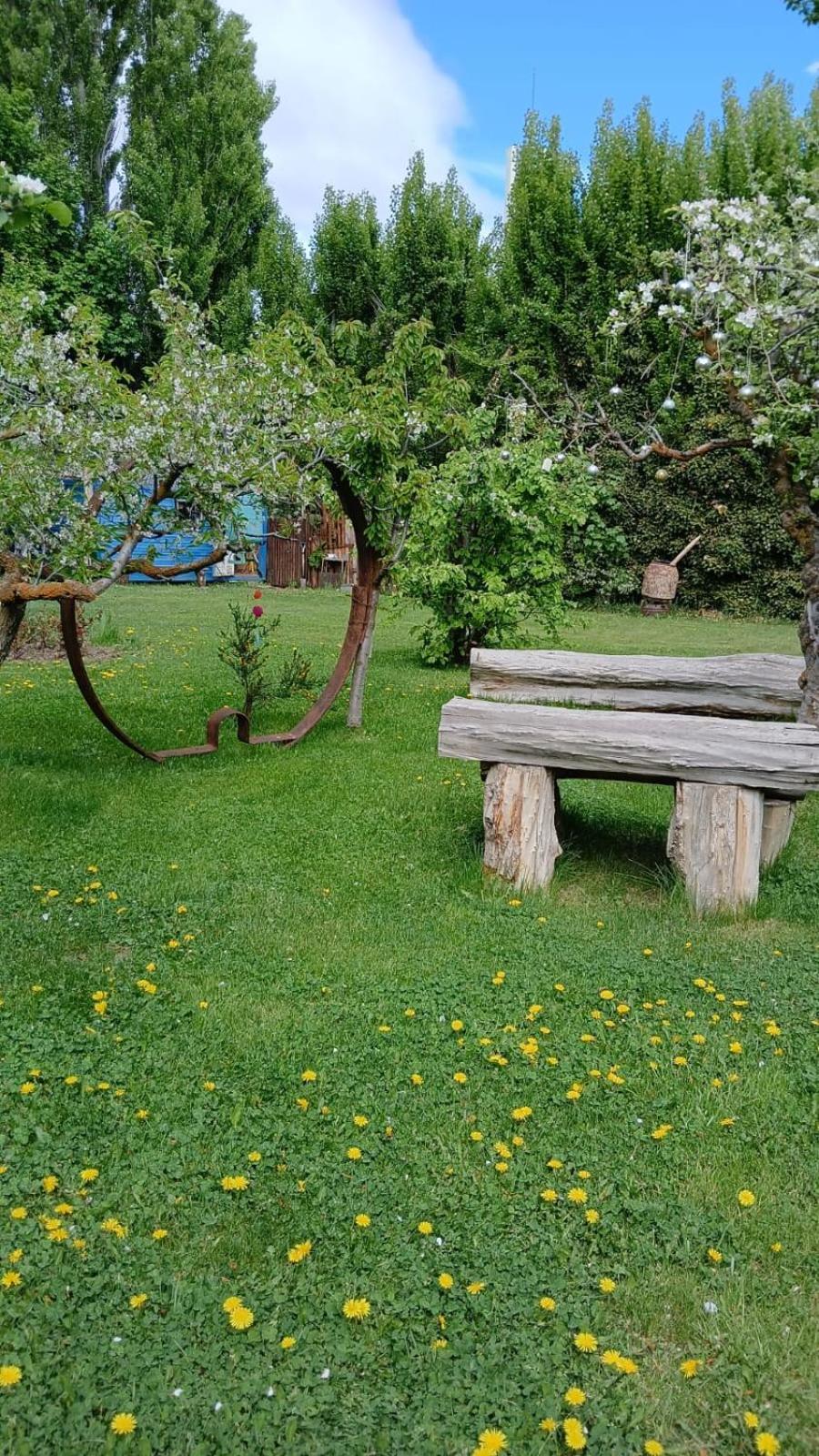 אל קלפטה Calafate Viejo Hostel מראה חיצוני תמונה